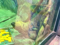 -福州罗源湾海洋世界旅游区