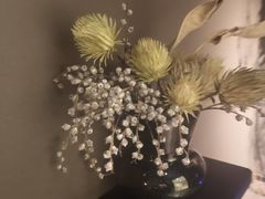 -安屿an·spa(卓悦中心商场店)
