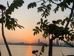 -深圳湾公园(南山区)