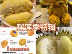 -深圳野生动物园