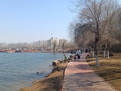 -丁香湖公园