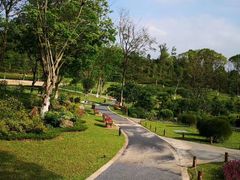 -东莞植物园