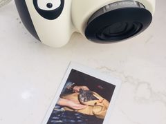 -汪小喵宠物·戴维斯乐芳希施宠馨宝皮毛调理洗护店