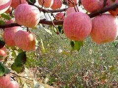 -长沙大成国际大酒店