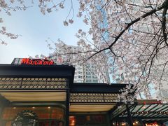 -玛格萝妮比萨屋(四平店)