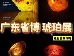-广东省博物馆