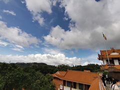 -深圳仙湖植物园-停车场