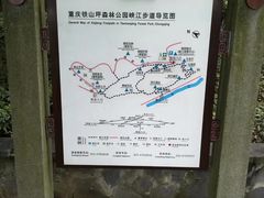 -铁山坪森林公园