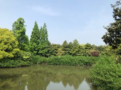 -上海滨江森林公园