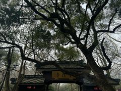 -灵隐飞来峰景区