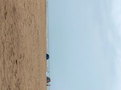 -日照海滨国家森林公园