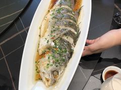 -盛福楼·惠山宴·明档江浙菜