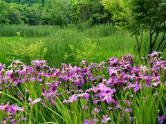 -昆山城市生态森林公园