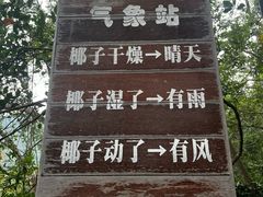 -呀诺达热带雨林