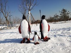 -绿野森林乐园冰雪季