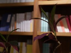 -二酉书店TOYOU BOOKS