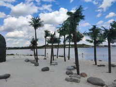 -呼兰河口湿地公园
