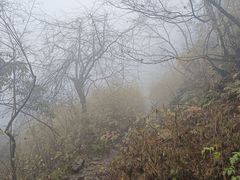 -九峰山