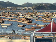-春妮海味饭店·海景餐厅·海菜包子·大连海鲜