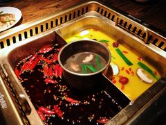 -九鼎轩脆毛肚火锅(商业街店)