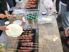 -吴淞炮台湾湿地森林公园烧烤区