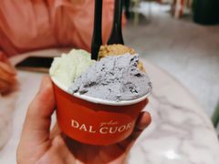 -Dal Cuore 达可芮冰淇淋(陕西北路店)