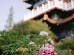 -洛阳市隋唐城遗址植物园