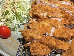 喜豚招牌猪排-KITON喜豚(清晖园店)