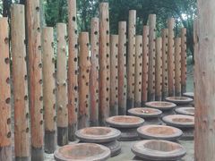 音乐广场-南宁良凤江国家森林公园