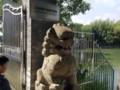 -申隆生态园-上海东方金融小镇