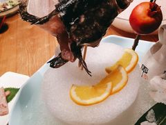 龙趸-尚海豆捞(乐虹坊店)