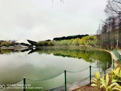 -大宁公园