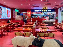 -猪角·闽南猪脚饭(上梅林店)