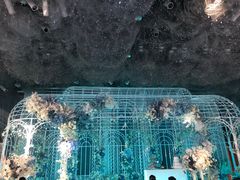 -好友缘酒家(会展中心店)