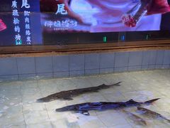 -胖姐渔村(中源大道店)