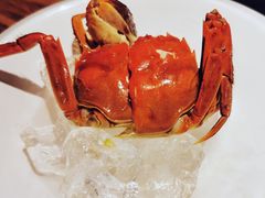 六月黄-汪爹爹武汉牛三鲜(朝外大街店)
