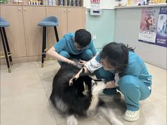 -美迦爱-牙专科·兔科·骨科诊疗中心(北苑店)