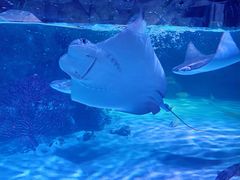 -沈阳海洋探索中心