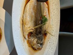 -芙蓉堂(武汉天地店)