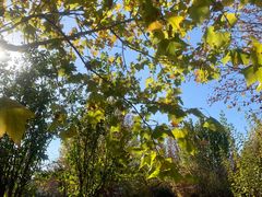 -北京国家会计学院