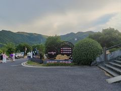 -大唐贡茶院