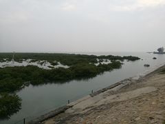 -北海金海湾红树林生态旅游区