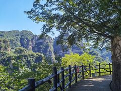 -六里坪国家森林公园