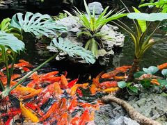 -白天鹅宾馆-健身中心