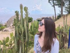 -广东惠东海龟国家级自然保护区