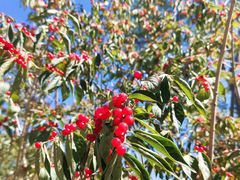 -中关村生命科学园