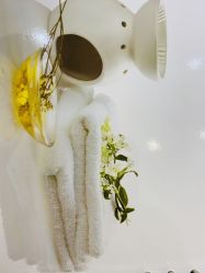 -悦色嘉丽科技美肤健康管理