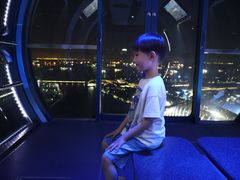 -新加坡摩天观景轮
