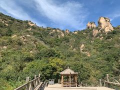 -大岭沟猕猴桃谷风景区