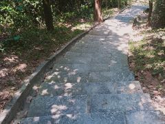 -火炉山森林公园